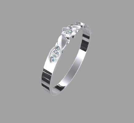 Women rings 606 | 3d print model