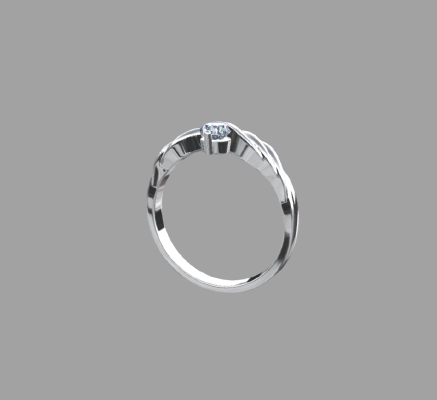 Women rings 660 | 3d print model