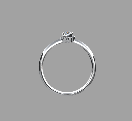 Women rings 1080 | 3d print model