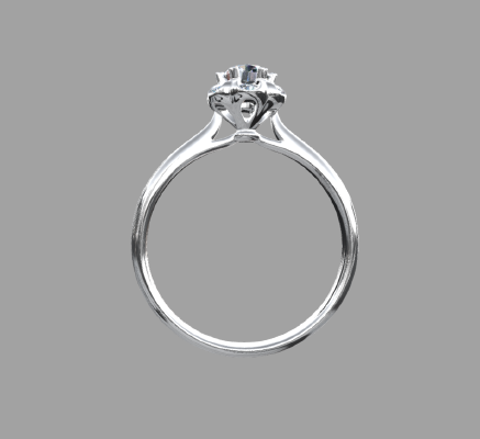 Women rings 1100 | 3d print model