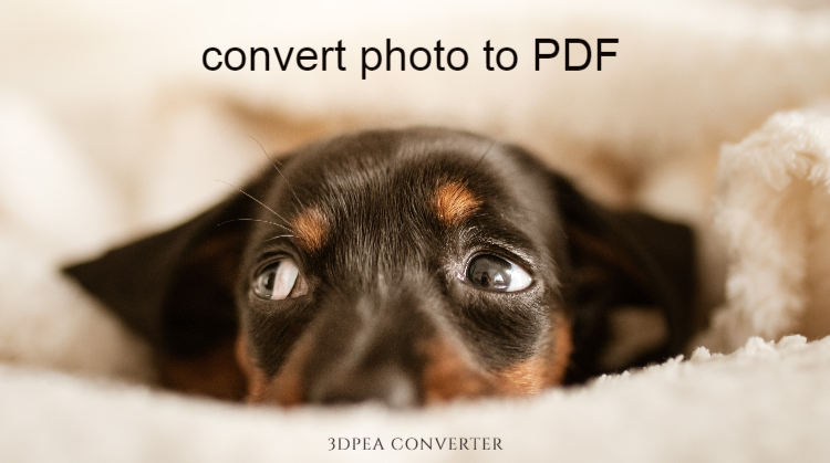 A Step by Step Guide to Converting Photo to PDF