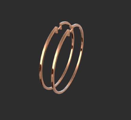 Earrings 1434 | 3d print model