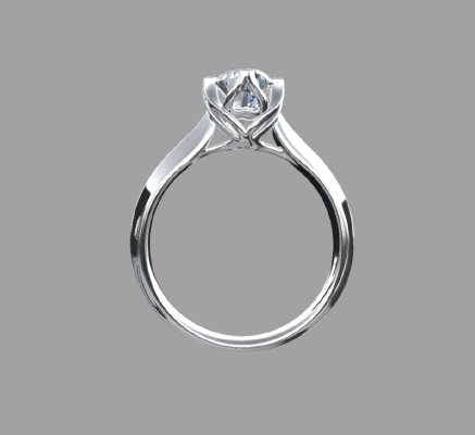 Women rings 1797 | 3d print model