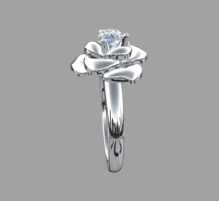 Women rings 1869 | 3d print model