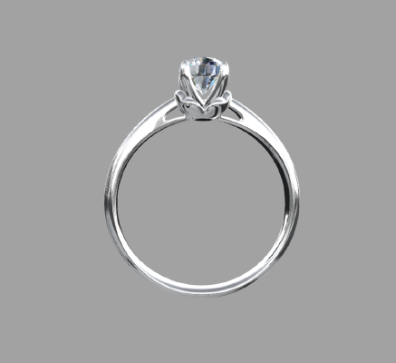 Women rings 1889 | 3d print model
