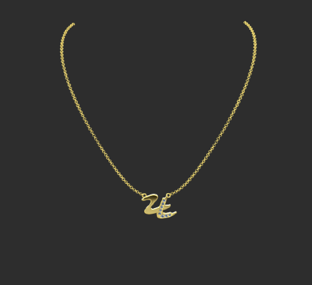 Pendant & Necklace 2211 | 3d print model