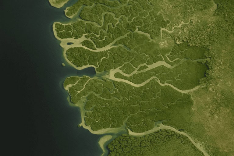 Bangladesh map 3d